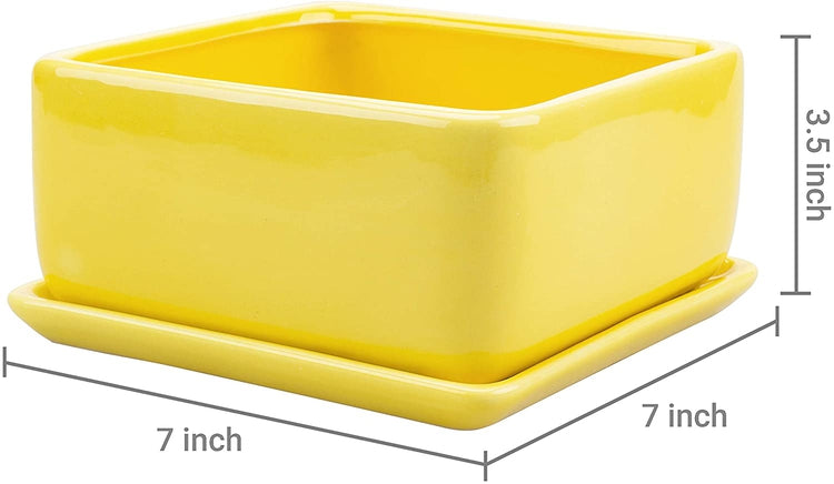 Yellow Ceramic Square Succulent Planter with Removable Drainage Tray-MyGift