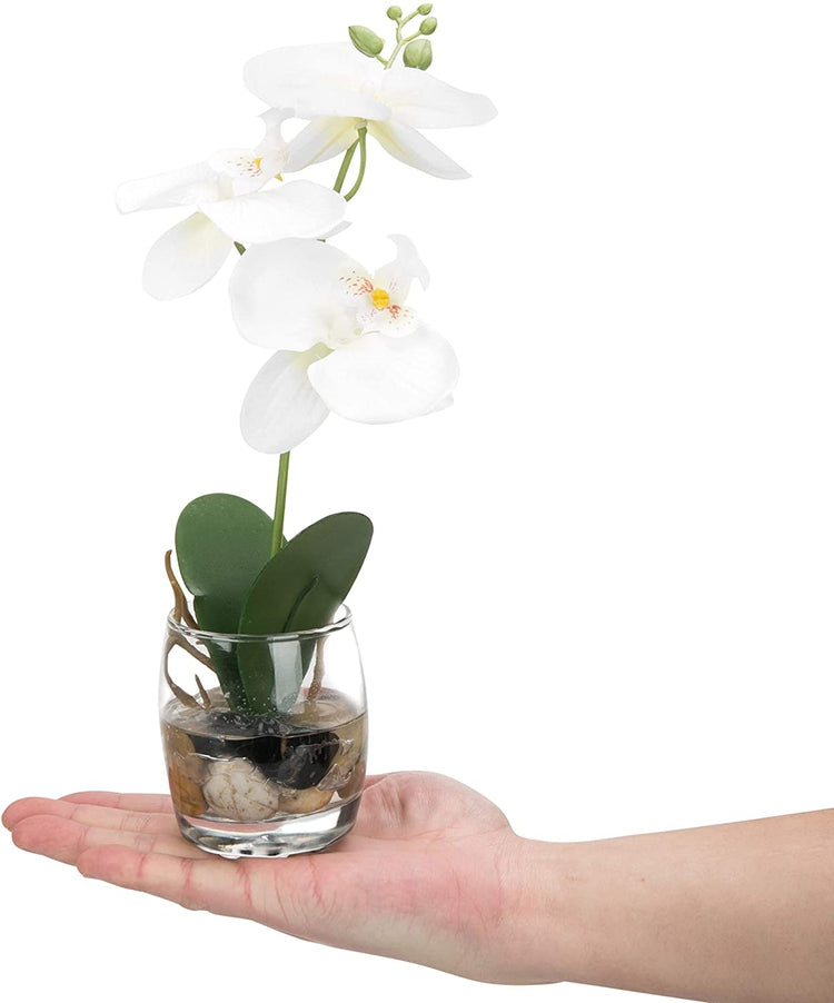 White Mini Synthetic Silk Artificial Phalaenopsis Orchid in Glass Vase-MyGift