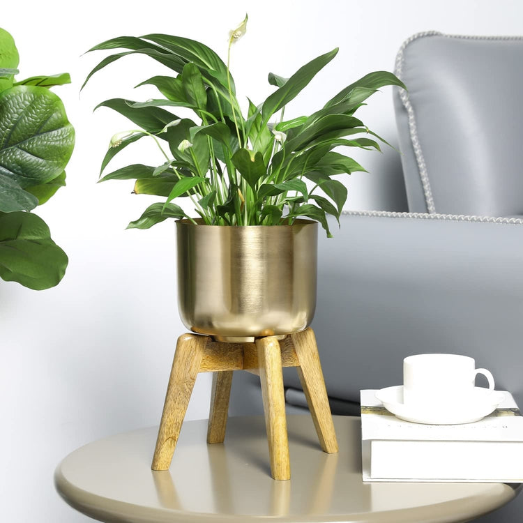 Small Plant Pot, Decorative Brushed Brass Metal Pot with Solid Mango Wood Planter Stand