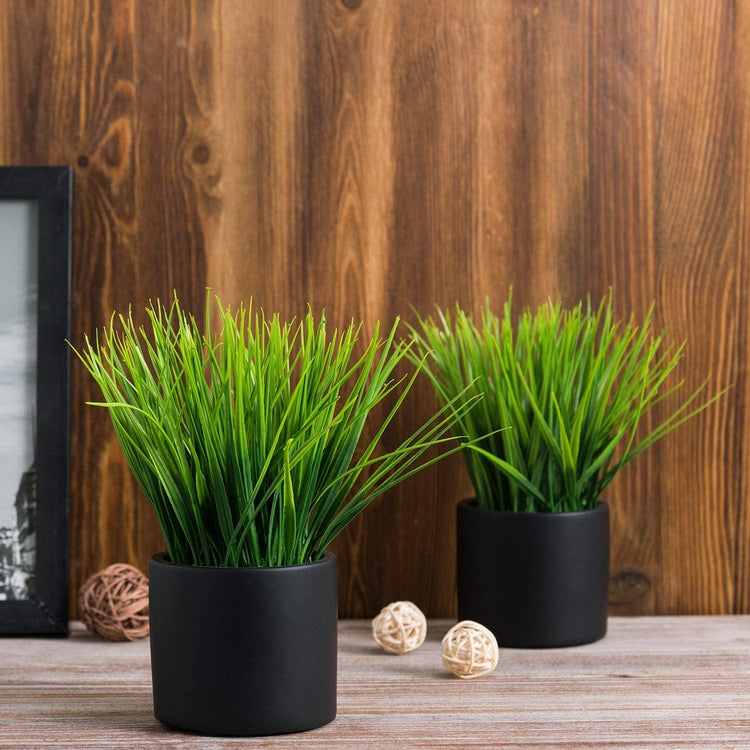 2 Pack Artificial Grass Fake Plant, Faux plant in Modern Round Black Cement Pots-MyGift