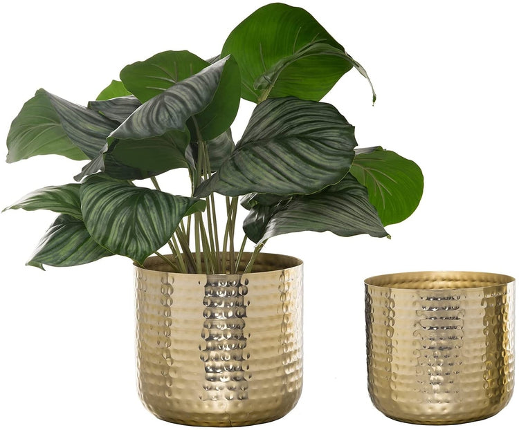 Set of 2, Hammered Brass Plated Metal Cylindrical Succulent Planter Pots-MyGift