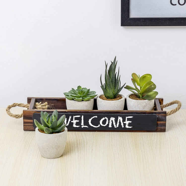mini faux succulents in pots Mini Assorted Faux Succulents, Artificial Plants in Concrete Plant Pots, Dark Brown Wood Window Box with Chalkboard Label