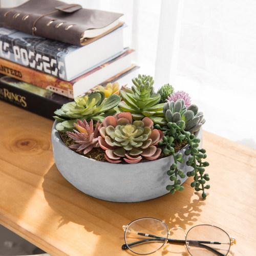 8-Inch Artificial Succulent Plant Arrangement in Concrete Pot - MyGift