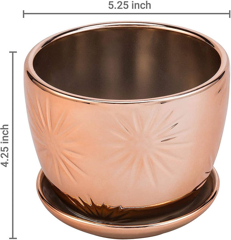 Set of 2, Rose Gold Ceramic Planter, Round Plant Pot with Starburst Design and Saucer-MyGift