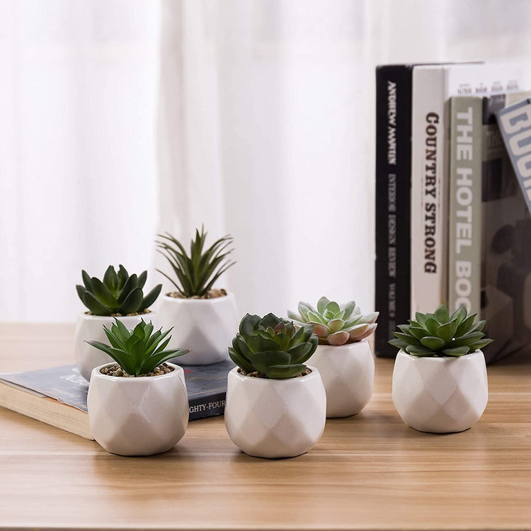 Faux Succulents in Geometric Ceramic Pots, Set of 6