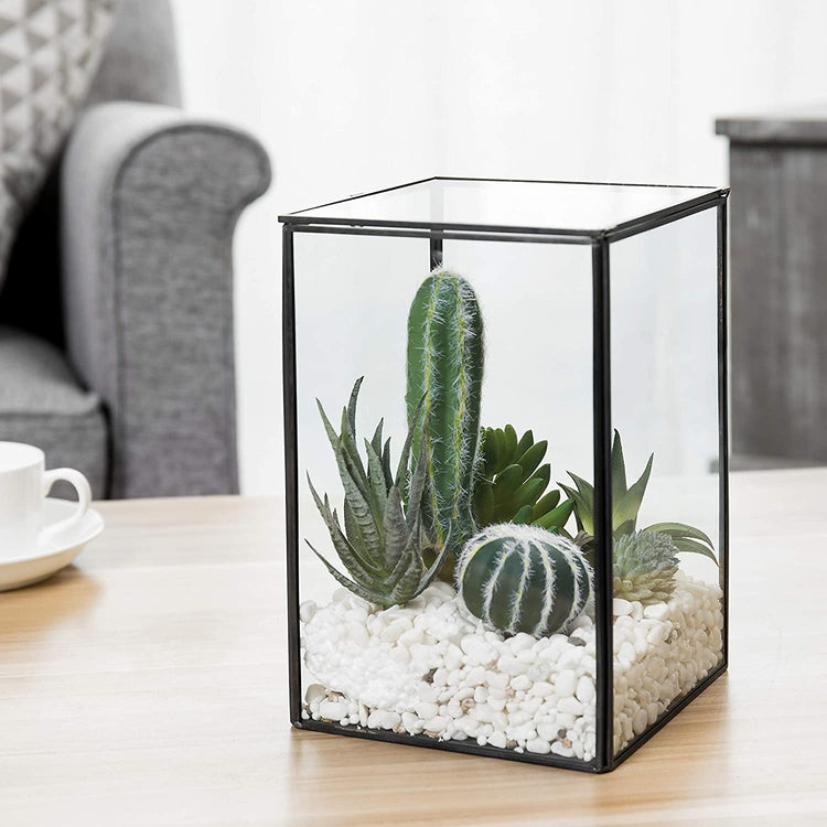 Clear Glass Plant Terrarium with Black Metal Frame, Shadow Box-MyGift