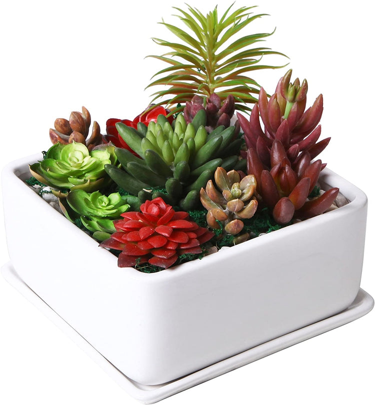 7 inch plant pot Modern 7 inch Square White Ceramic Succulent Planter Pot with Drainage Tray, Window Box & Saucer