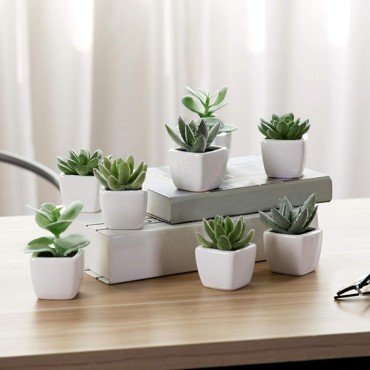 small rectangular pots for plants Mini Assorted Artificial Succulent Plants in White Ceramic Pots, Set of 4
