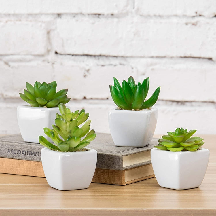 Mini Artificial Succulent Plants in White Ceramic Pots, Set of 4