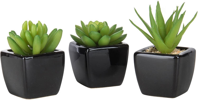 Set of 3, Modern Home Decor Mini Succulent Artificial Plants with Square Black Ceramic Pots-MyGift