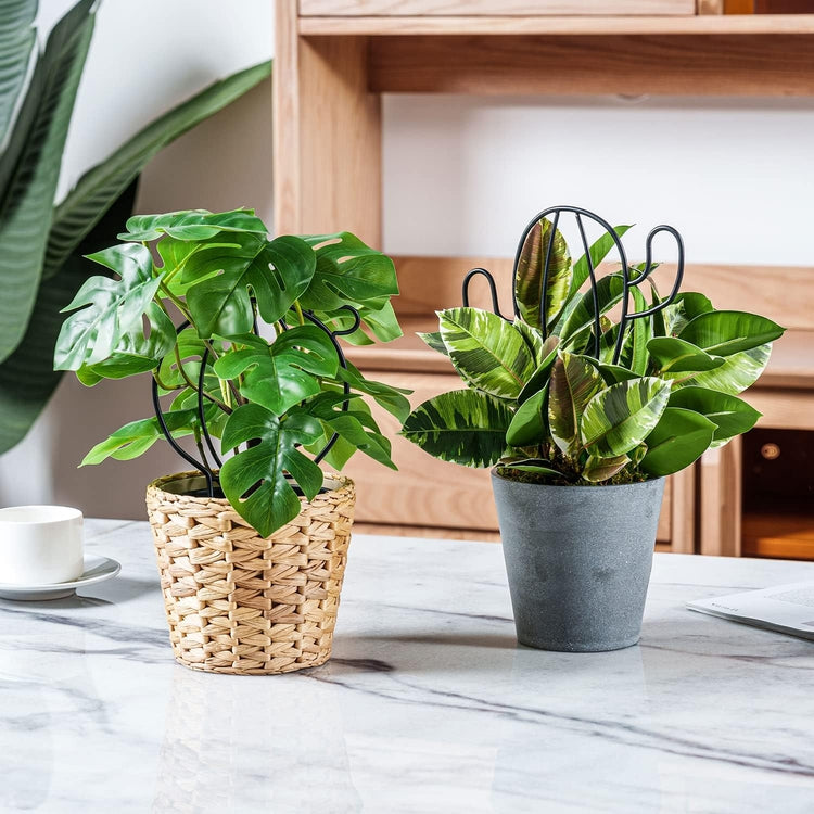 plant pot trellis support Matte Black Metal Wire Trellis in Cactus Shape Silhouette for Stem Sup –  MyGift