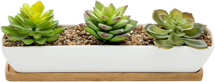 Artificial Succulent Arrangement in 11-Inch Ceramic Planter with Bamboo Tray-MyGift