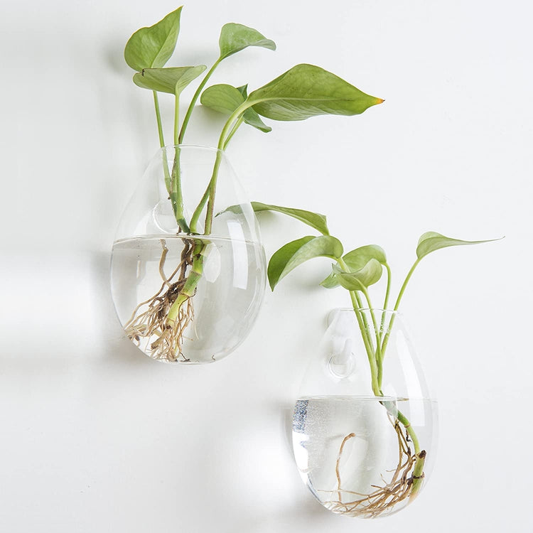 Clear Glass Terrarium Flower Vases, Set of 2