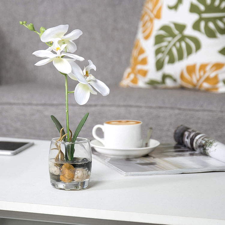 White Mini Synthetic Silk Artificial Phalaenopsis Orchid in Glass Vase-MyGift