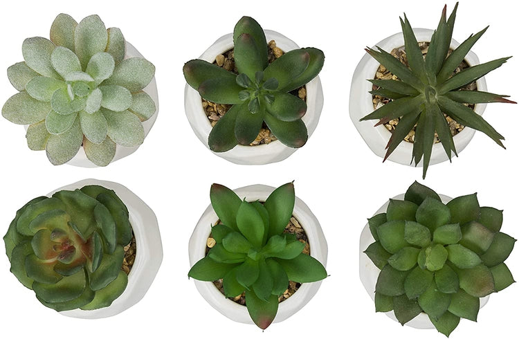 Faux Succulents in Geometric Ceramic Pots, Set of 6-MyGift