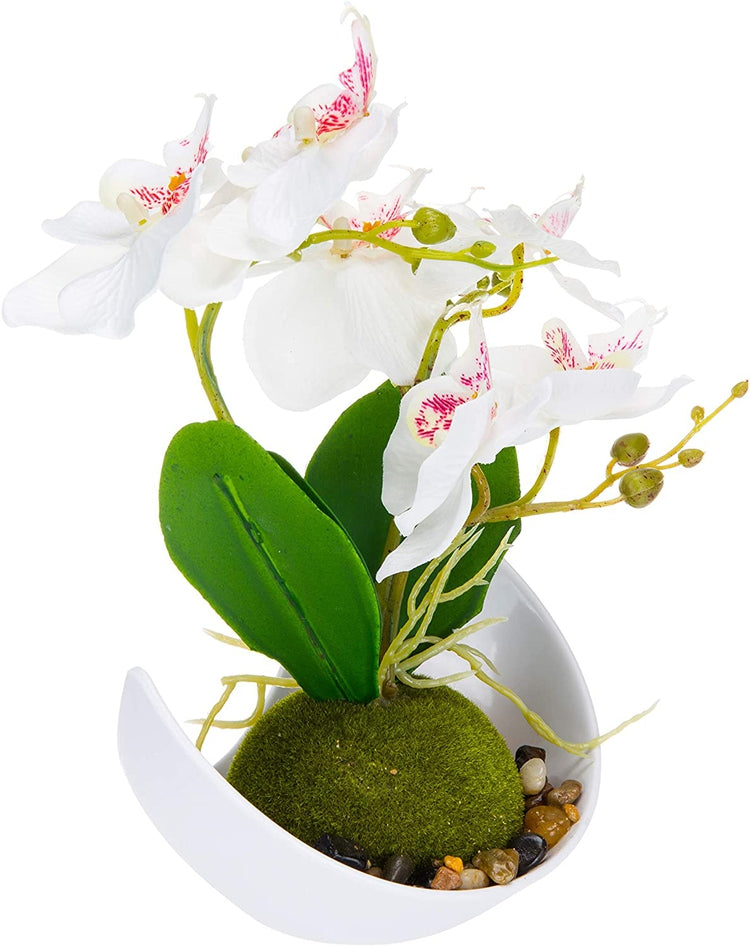 Modern Artificial Flower Decoration, Synthetic Orchids with Sleek Curved White Planter-MyGift