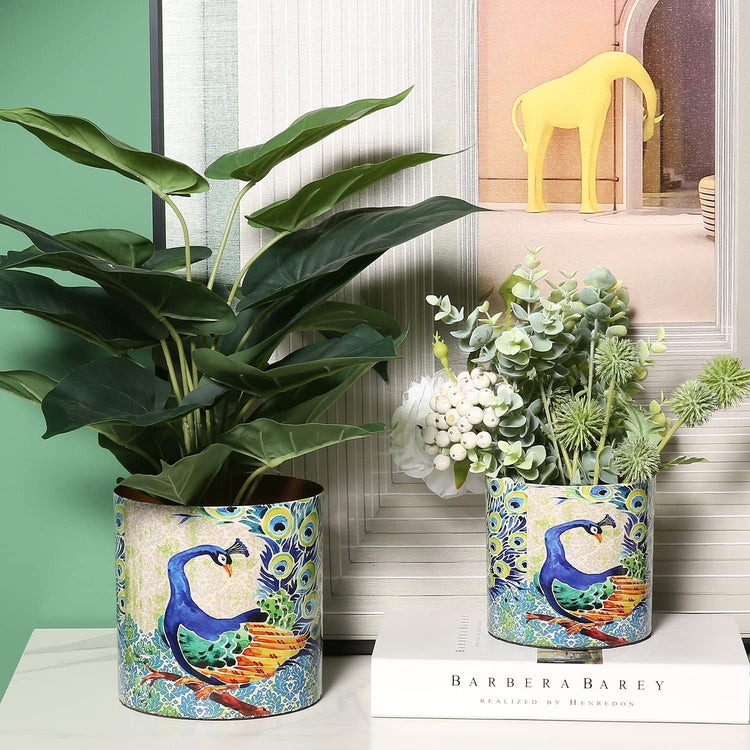 Metal Colorful Flower Pots with Peacock Design, Succulent Planter with Brass Tone Interior, Set of 2