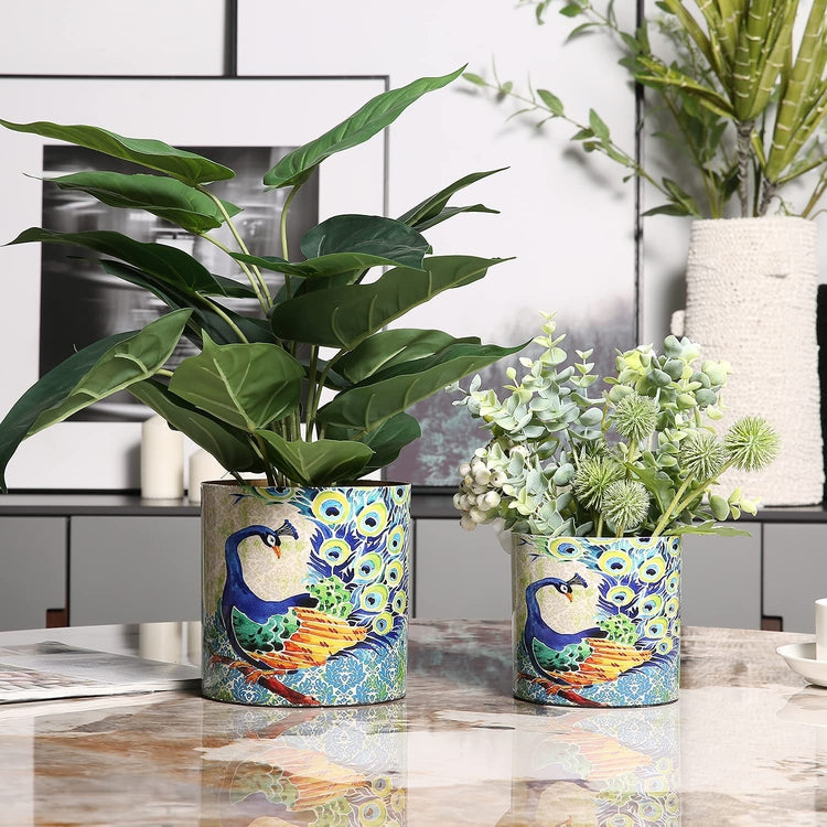 Set of 2, Metal Colorful Flower Pots with Peacock Design, Succulent Planter with Brass Tone Interior-MyGift