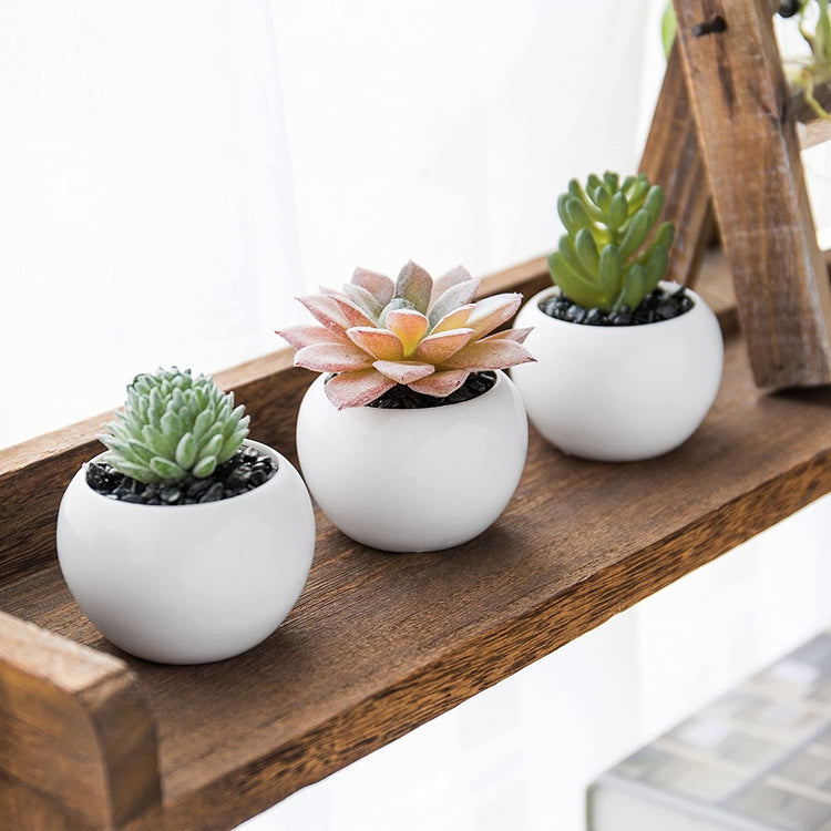 Mini Artificial Succulent Plants in White Ceramic Pots, Set of 3