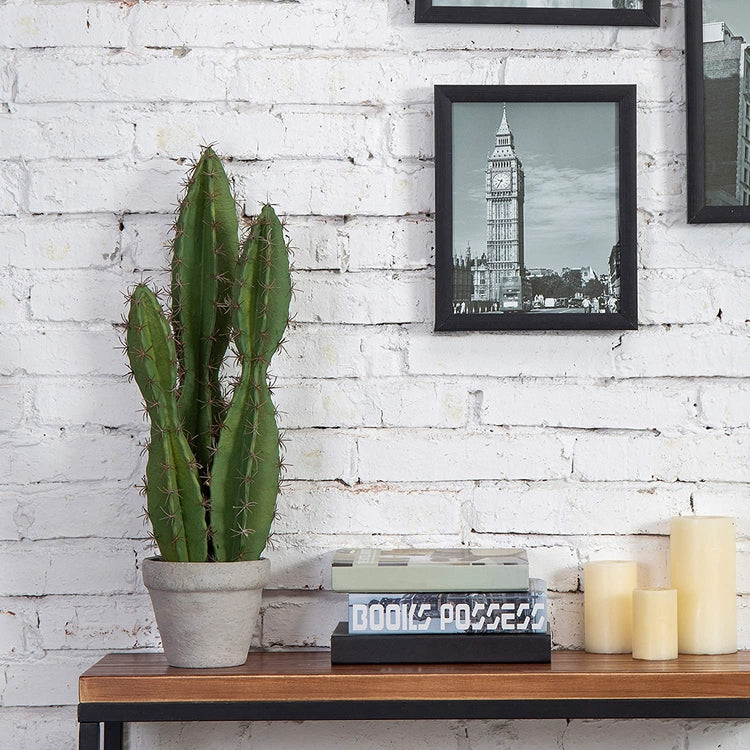 23-Inch Artificial Peruvian Tree Cactus Plant in Concrete Pot