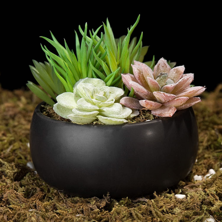 small round succulent Mini Artificial Succulent Arrangement in Black Ceramic Round Plant Bowl