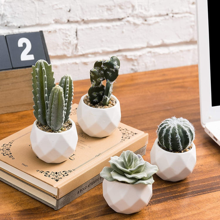 Miniature Assorted Artificial Cactus & Succulent Plants in White Geometric Ceramic Pots, Set of 4
