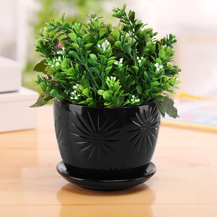 Black Starburst Design Round Ceramic Planters with Saucers, Set of 2