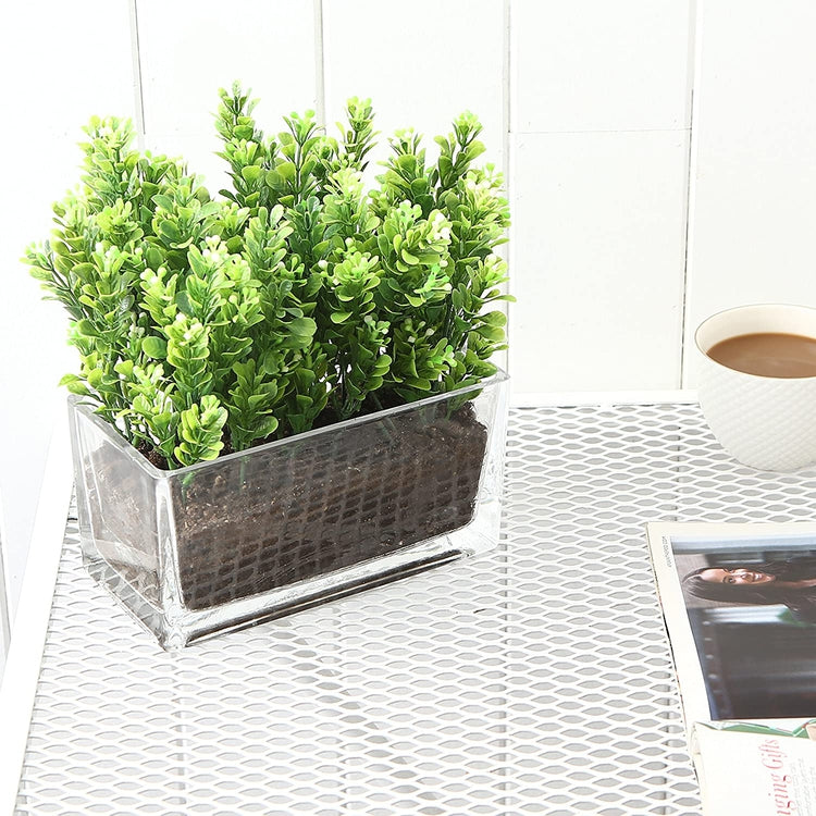 Modern Rectangular Clear Glass Trough Vase, 7.5-Inch Succulent Planter Pot