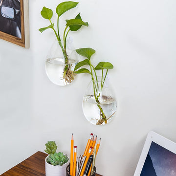 Set of 2 Clear Glass Terrarium Flower Vases, Wall-Mounted Planter-MyGift