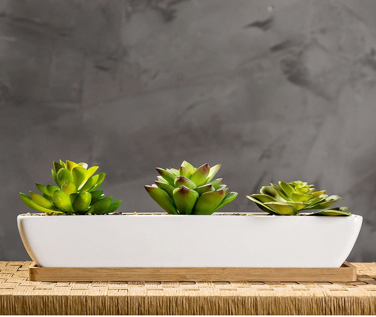 Artificial Succulent Arrangement in 11-Inch Rectangular Ceramic Plant Pot with Bamboo Tray