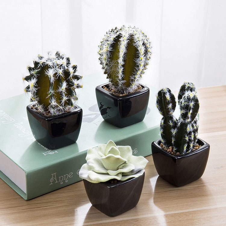 Mini Assorted Faux Cactus Plants in Square Black Plant Pots, Set of 4