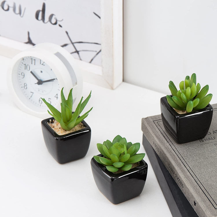 Modern Home Decor Mini Succulent Artificial Plants with Square Black Ceramic Pots, Set of 3