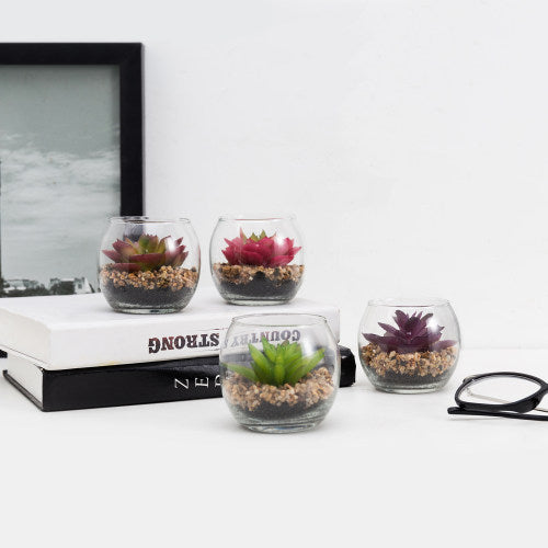 Mini Artificial Succulents in Modern Clear Round Glass Vases, Set of 4