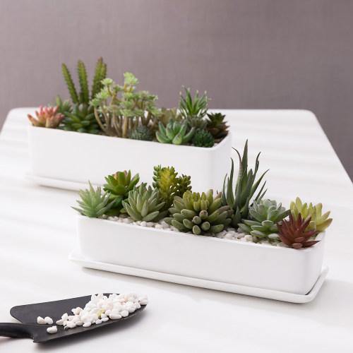Rectangular Matte White Ceramic Succulent Planter, Set of 2 - MyGift