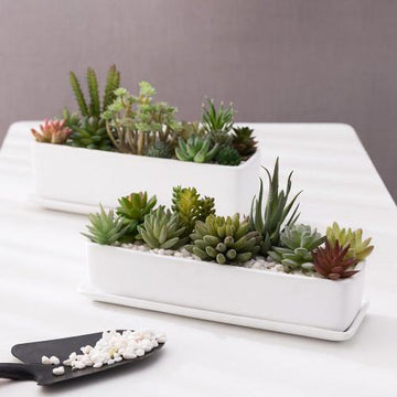 Rectangular Matte White Ceramic Succulent Planter, Set of 2