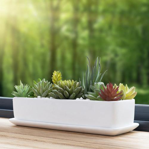 Rectangular Matte White Ceramic Succulent Planter, Set of 2 - MyGift