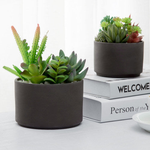 Zisha Purple Clay Succulent Planters w/ Matte Brown Finish, Set of 2