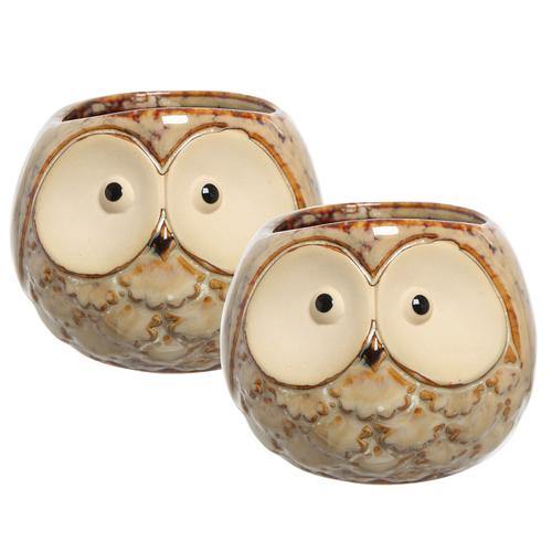 Small Owl Design Ceramic Planters, Set of 2 - MyGift