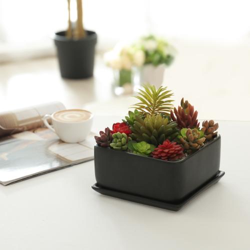 Modern Black Ceramic Square Succulent Planter w/ Tray