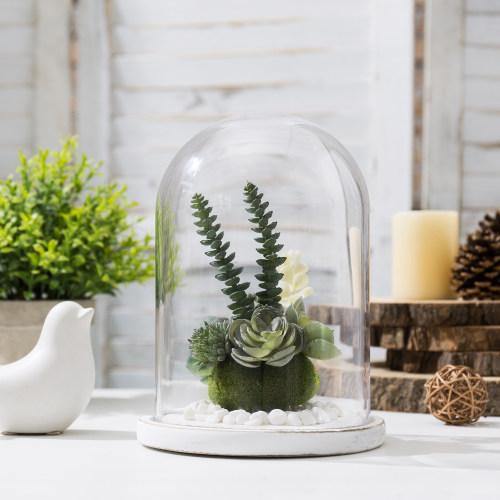 Clear Glass Cloche with White Wood Base