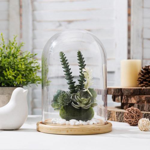 Clear Glass Cloche with Beige Wood Base