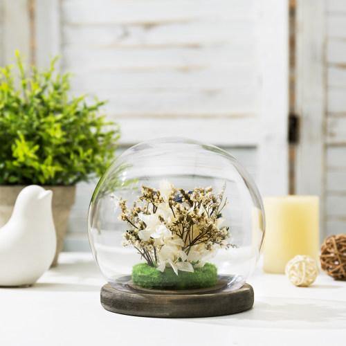 Glass Terrarium & Globe Cloche with Gray Wood Base - MyGift