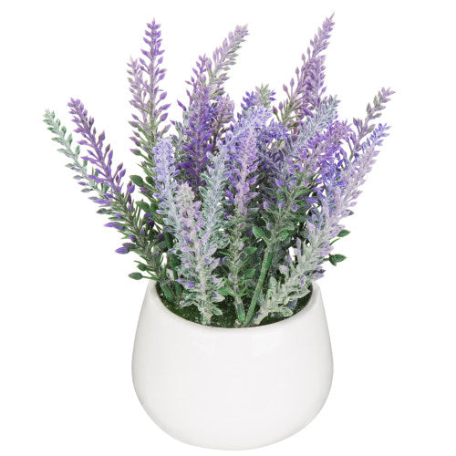 Artificial Lavender Plant w/ White Ceramic Planter-MyGift