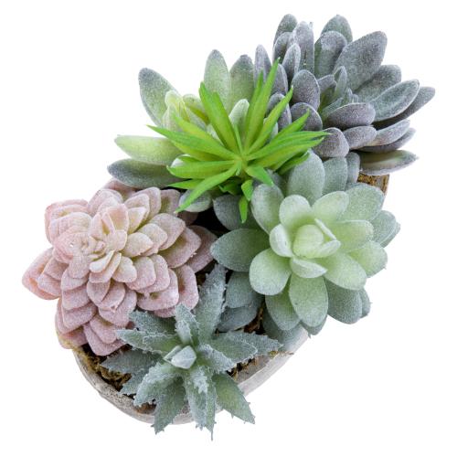 Tabletop Artificial Succulents in Oval Pulp Pot-MyGift