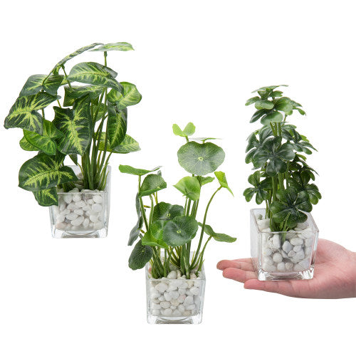 Artificial Clover & Taro Plants in Glass Vase w/ Stones, Set of 3-MyGift