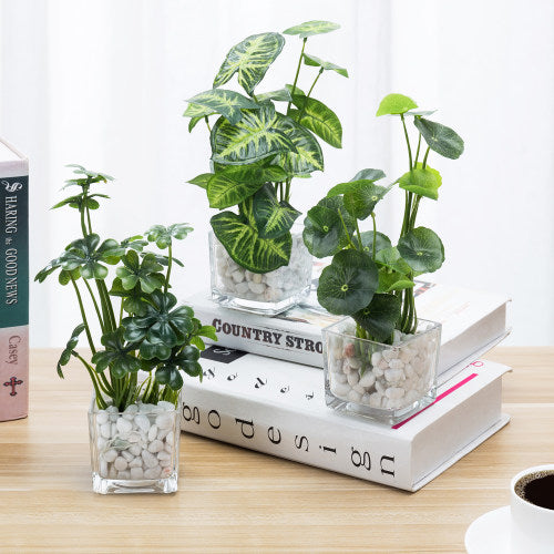 Artificial Clover & Taro Plants in Glass Vase w/ Stones, Set of 3