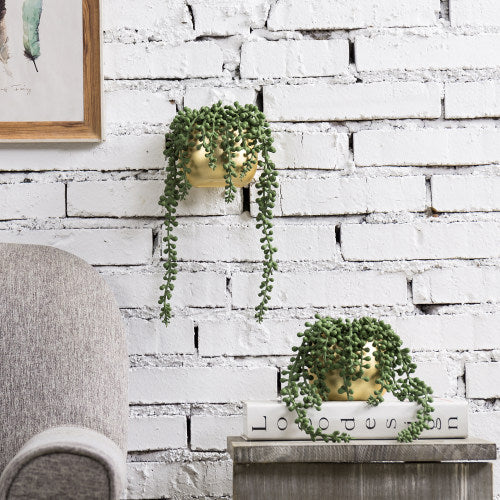 Wall-Mounted Artificial String of Pearls in Round Brass Ceramic Plant Pots, Set of 2