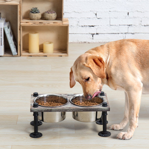 Torched Wood and Industrial Style Pipe Dog Feeder with Stand