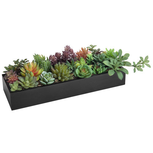 Artificial Succulent Plants in Modern Black Wood Planter-MyGift