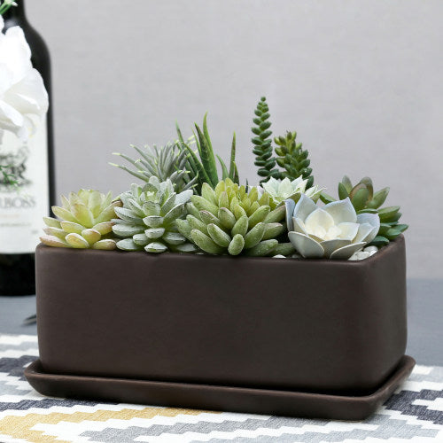 Matte Brown Succulent Planter Box w/ Removable Tray-MyGift